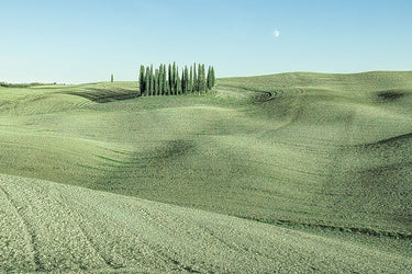 Green Italian countryside landscape canvas art print by Feeling at Home featuring rolling hills and vibrant greenery.