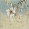 Cherry Blossom floral canvas art print by Feeling at Home featuring delicate pink blossoms on a natural background.