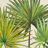 Feeling at Home Arte Verde II Nature canvas art print by Pinto Patricia, featuring lush green foliage and botanical artwork.