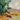 Landscape canvas art print of a tree in June by Vassileva Silvia, featuring natural scenery and vibrant colors.