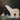 Art Print on canvas Constellations Polar Bear by Fowler Ryan Animals Post-Impressionism artwork