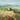 Art Print on canvas Summer in Provence  by Nai Danhui Landscape Impressionism artwork