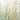 Art Print on canvas Spring Grasses I by Tillmon Avery Abstract Renaissance artwork