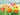 Art Print on canvas Meadow Poppies by Nai Danhui Floral Expressionism artwork