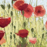 Art Print on canvas Mountain Poppies I - Wag by Novak Shirley Floral Romanticism artwork