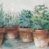 Art Print on canvas Pots of Herbs II Cottage by Rowan Carol Country French Post-Impressionism artwork
