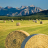Art Print on canvas Waterton Hay Bales by Majchrowicz Alan Country French Post-Impressionism artwork