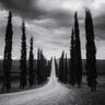 Art Print on canvas Travelling in Tuscany by Aledanda Country French Post-Impressionism artwork