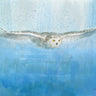 Art Print on canvas Soaring by Nai Danhui Animals Baroque artwork