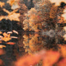 Autumn Reflections nature canvas art print by Marshall Laura, featuring vibrant fall foliage and serene landscape details.