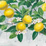 Art Print on canvas Zesty Lemons by Wiens James Floral Baroque artwork
