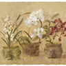 Art Print on canvas Collection of Orchids-48x35.5 by Blum Cheri Floral Other artwork