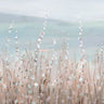 Art Print on canvas Coastal Morning Blooms by Nai Danhui Coastal Post-Impressionism artwork