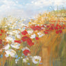 Art Print on canvas Poppies and Larkspur II by Rowan Carol Floral Baroque artwork