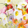 Art Print on canvas Essence by Novak Shirley Floral Post-Impressionism artwork