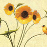 Art Print on canvas Sunny Flowers IV by Novak Shirley Floral Impressionism artwork