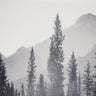 Art Print on canvas Kananaskis Country by Larson Nathan Landscape Impressionism artwork