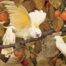 Colorful canvas art print of persimmons and cockatoos by Jesse Arms Botke, featuring vibrant birds and fruit in a natural setting.
