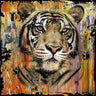 Wildlife tiger animals canvas art print by Bakker Hans Jochem, featuring detailed tiger illustration on textured canvas.