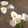 White Callas country French canvas art print by Rizzardi Teo, featuring elegant calla lilies on a soft background.