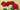 Feeling at Home floral canvas art print featuring vibrant red roses by Masera Angelo, showcasing detailed flower artwork.