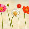 Coquelicots floral canvas art print by Ann Cynthia, featuring vibrant red poppy flowers in a natural botanical design.