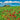 European canvas art print of a Tuscan farmhouse with cypresses and poppies by Krahmer Frank, suitable for home decor.