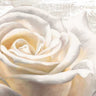 White on white decorative canvas art print by Thomlinson Jenny, featuring subtle textured design for modern home decor.