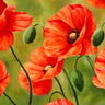 Feeling at Home floral canvas art print featuring a vibrant field of poppies by Villa Luca