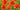 Feeling at Home floral canvas art print featuring a vibrant field of poppies by Villa Luca