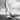 Feeling at Home sports canvas art print featuring Under Sail Sydney Harbour scene with boats and water, by Anonymous.