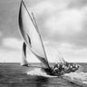 Feeling at Home sports canvas art print featuring Under Sail Sydney Harbour scene with boats and water, by Anonymous.