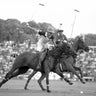 Argentina polo players sports canvas art print by Feeling at Home, showcasing dynamic polo action on a vibrant canvas.