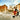 Lovers in Rome figurative canvas art print by Benson Pierre, featuring romantic scene with vibrant colors and detailed brushstrokes.