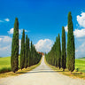 Tuscany landscape canvas art print featuring Cypress alley in San Quirico d'Orcia by Feeling at Home, showcasing scenic rural scenery.