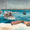 Nassau landscape canvas art print by Homer Winslow featuring scenic coastal views, framed and ready for wall display.