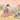 Japanese woman picking chrysanthemums figurative canvas art print by Harunobu Suzuki, showcasing traditional floral scene.