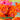 Dripping roses floral canvas art print by Parr Kelly, featuring vibrant, abstract flower designs in a modern art style.