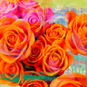 Dripping roses floral canvas art print by Parr Kelly, featuring vibrant, abstract flower designs in a modern art style.