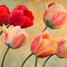 Close-up of a floral canvas art print featuring golden tulips by Feeling at Home, showcasing detailed vibrant flower imagery.