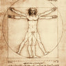 Leonardo da Vinci Vitruvian Man art print on canvas, featuring detailed anatomical drawing by Feeling at Home.