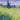Art Print on canvas Landscape with Green Corn by Van Gogh Vincent Landscape Post-Impressionism artwork