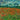 Art Print on canvas Poppy field by Van Gogh Vincent Landscape Post-Impressionism artwork