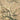 Beige floral canvas art print of Mandorlo in fiore by Van Gogh, featuring delicate blossoms and vibrant colors.