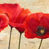 Red poppies floral canvas art print by Ann Cynthia featuring vibrant red poppies on a decorative canvas.
