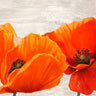 Bright poppies floral canvas art print by Thomlinson Jenny, featuring vibrant red and orange flowers on a colorful background.