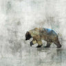 Bear Spring Animals canvas art print by Roko Ken, featuring a detailed woodland scene with bears and wildlife, suitable for home decor