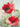 Canvas Art Print Field Poppies 1 Floral subject by Lynch Brent Fine Art Print quality 