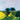 Landscape canvas art print of a rape field edge by Howden Simon, featuring vibrant colors and detailed rural scenery.