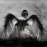 Canvas Art Print The tree of lost souls Fantasy subject by Nauts Frans Fine Art Print quality 